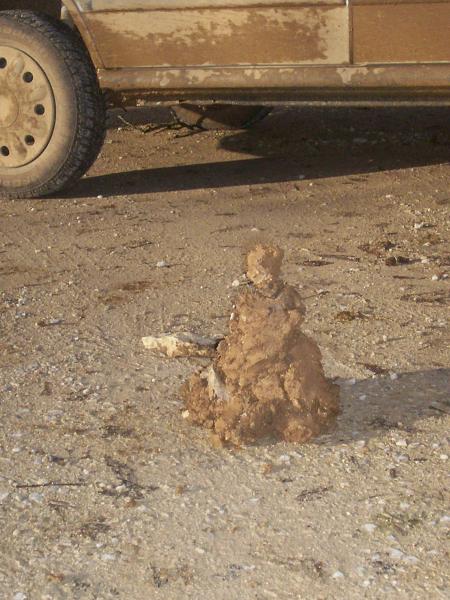 Gros plan des quelques kilos