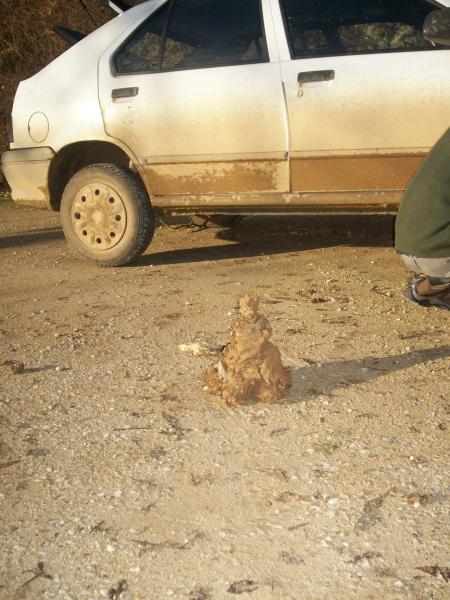 La terre dans la roue