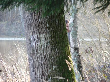C'est bon j'ai trouvé un cachette entre ces 2 arbres