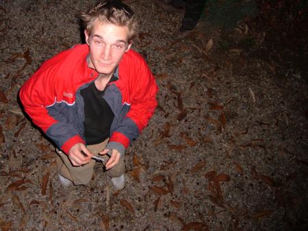 Qu'est ce qu'il se passe?