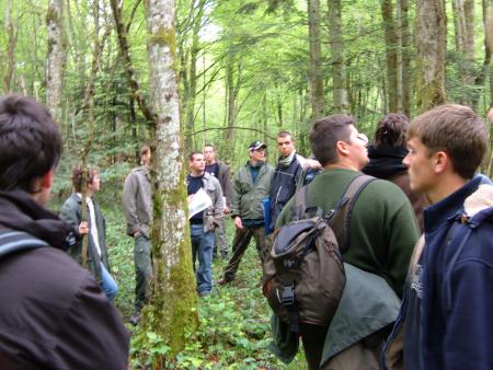 Les GF 2 en futaie irrégulière... Ah bon?