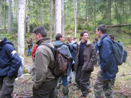 Dans le marteloscope