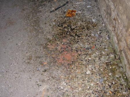 Une des multiples plaques