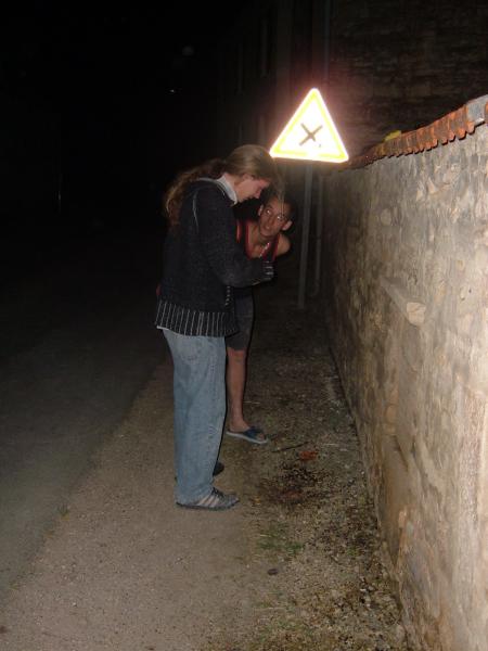 Kéké en tongues dans la plaque